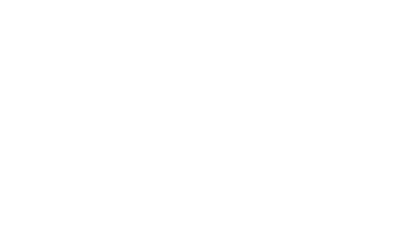 Chartered Accountant