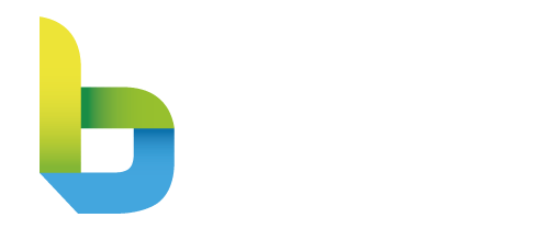 Bizval